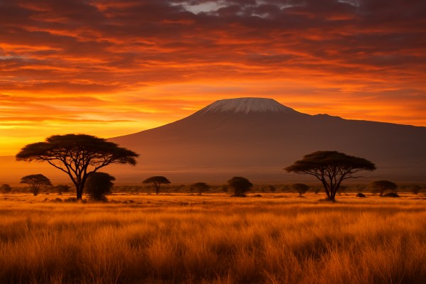 Countries of Africa