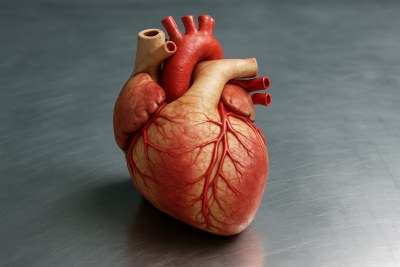 Human Body Trivia