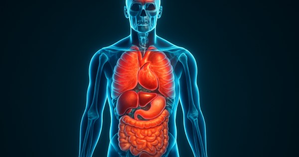 Human Body Trivia