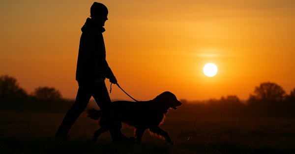 Finally — what's your honest reason for wanting a dog?
