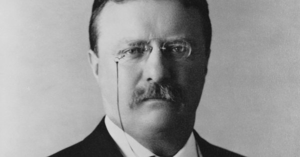Theodore Roosevelt outdoor portrait rugged historical image